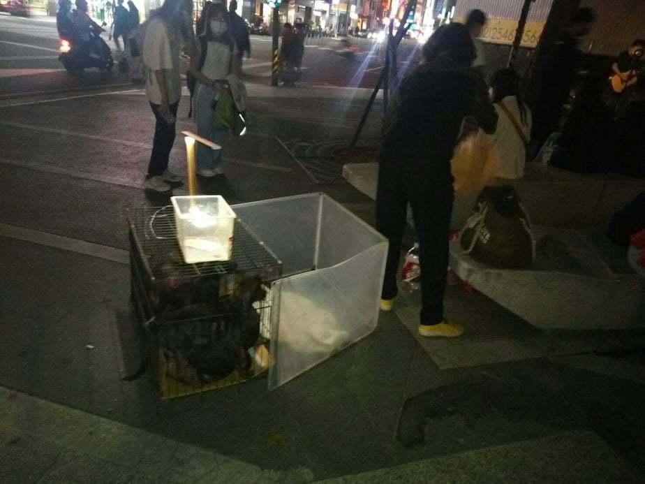 儘管被動保處列入黑名單,飯糰媽媽還是躲著設攤「賣狗」。(讀者提供)