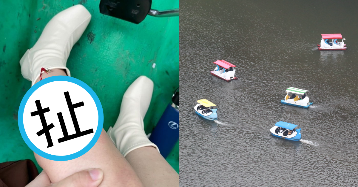 一對情侶到碧潭踩天鵝船，竟差點「被釣走」。（翻攝自Dcard、本刊資料照）