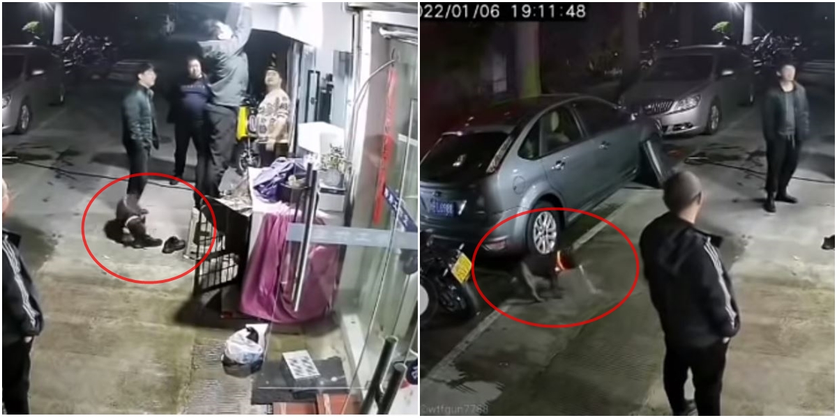 可憐的狗狗被鞋子薰到吐了。(圖片截自 Sexy Bikini TV/YouTuber)