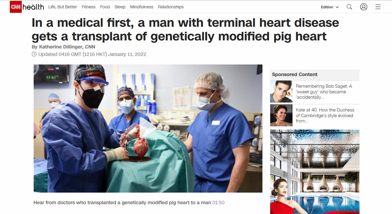 馬里蘭大學醫學中心醫師展示將移植到病患身上的豬心。（翻攝CNN網站）