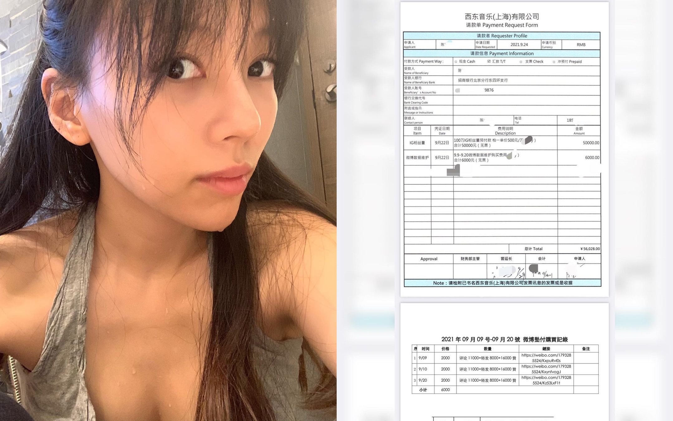 李靚蕾亮出證據王力宏有買網軍。（翻攝李靚蕾IG）