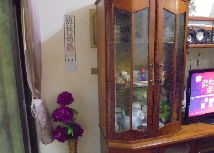 桃園市77歲羅姓婦人因汽車長期欠繳ETC通行費、罰鍰等共11萬元，位於楊梅的房產險遭查封。（翻攝畫面）