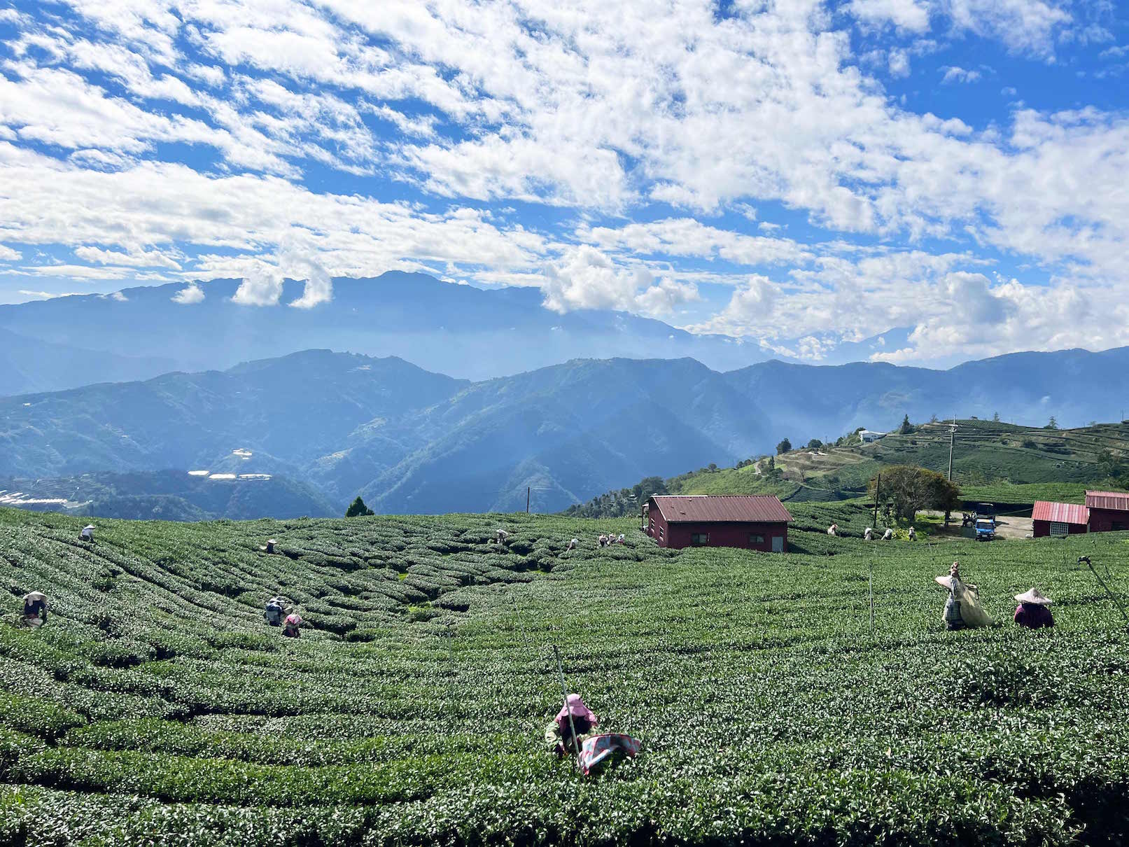 位於南投山上，製茶逾百年的茶廠，十分低調。（引潮提供）
