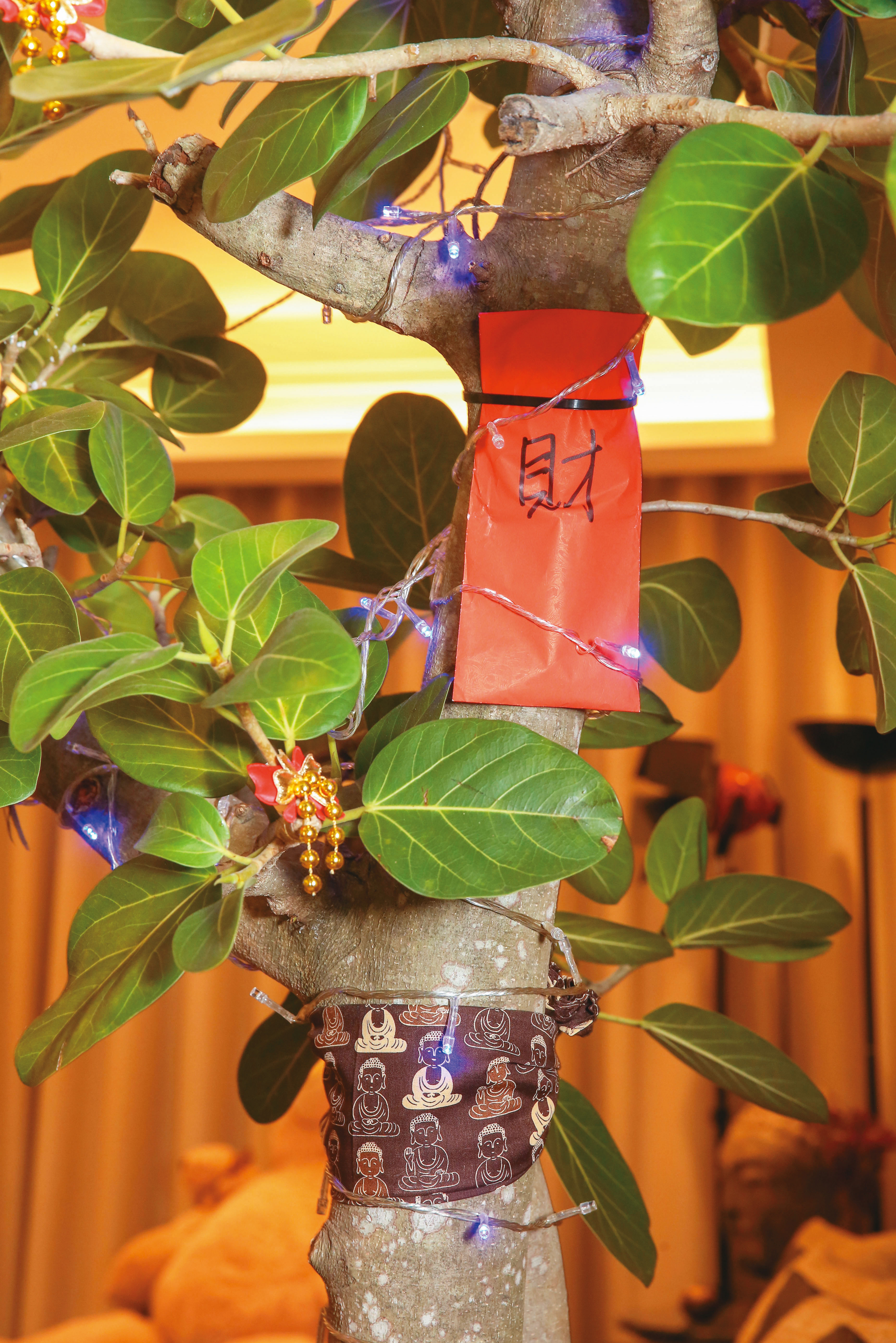 在樹枝綁上紅包、釋迦牟尼佛手巾,詹惟中營造開門見佛、見紅包的喜氣。