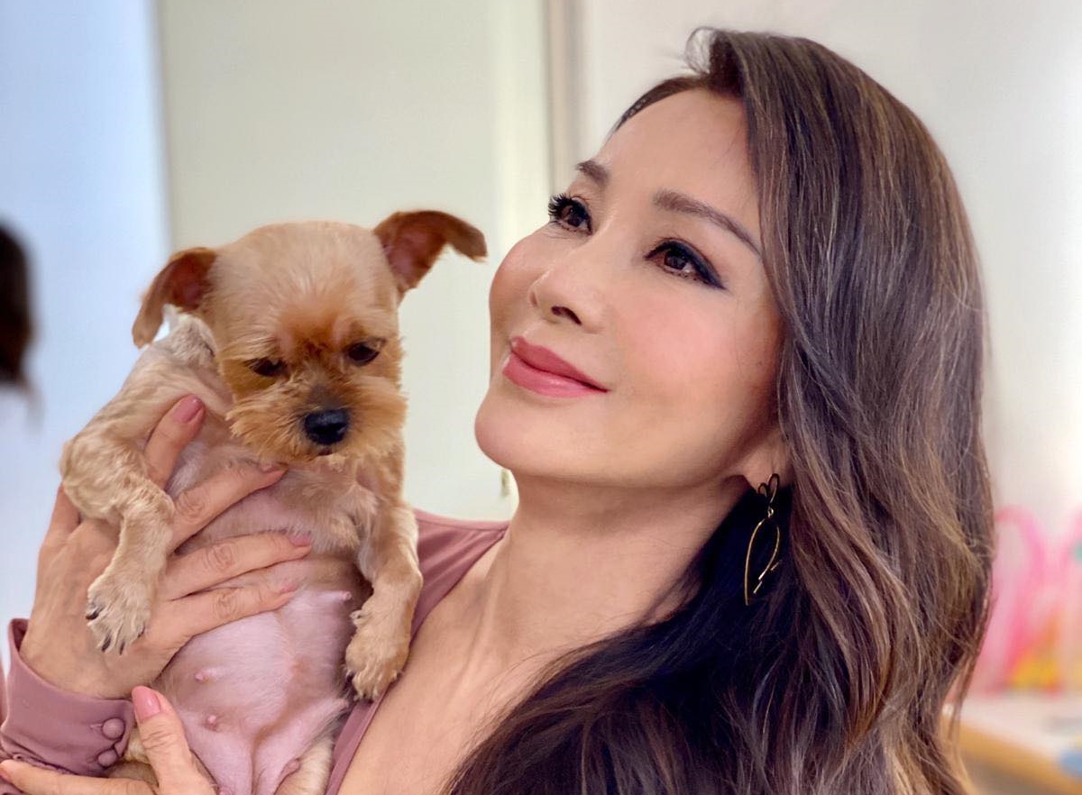 陳美鳳愛貓也愛狗，但貓留在家裡，狗可以跟著她趴趴走。（翻攝陳美鳳臉書）