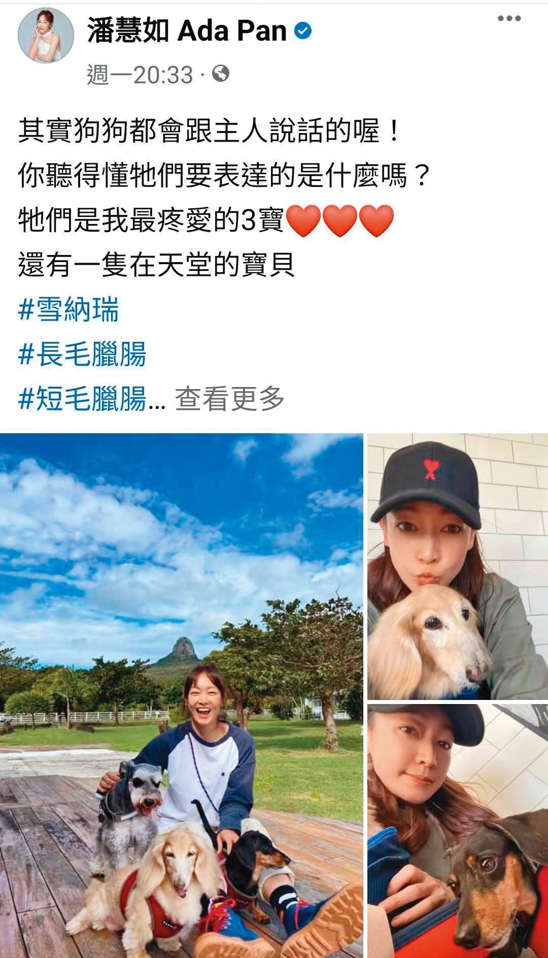 潘慧如非常疼惜這3隻愛犬，把牠們當小孩照顧。（翻攝自潘慧如臉書）