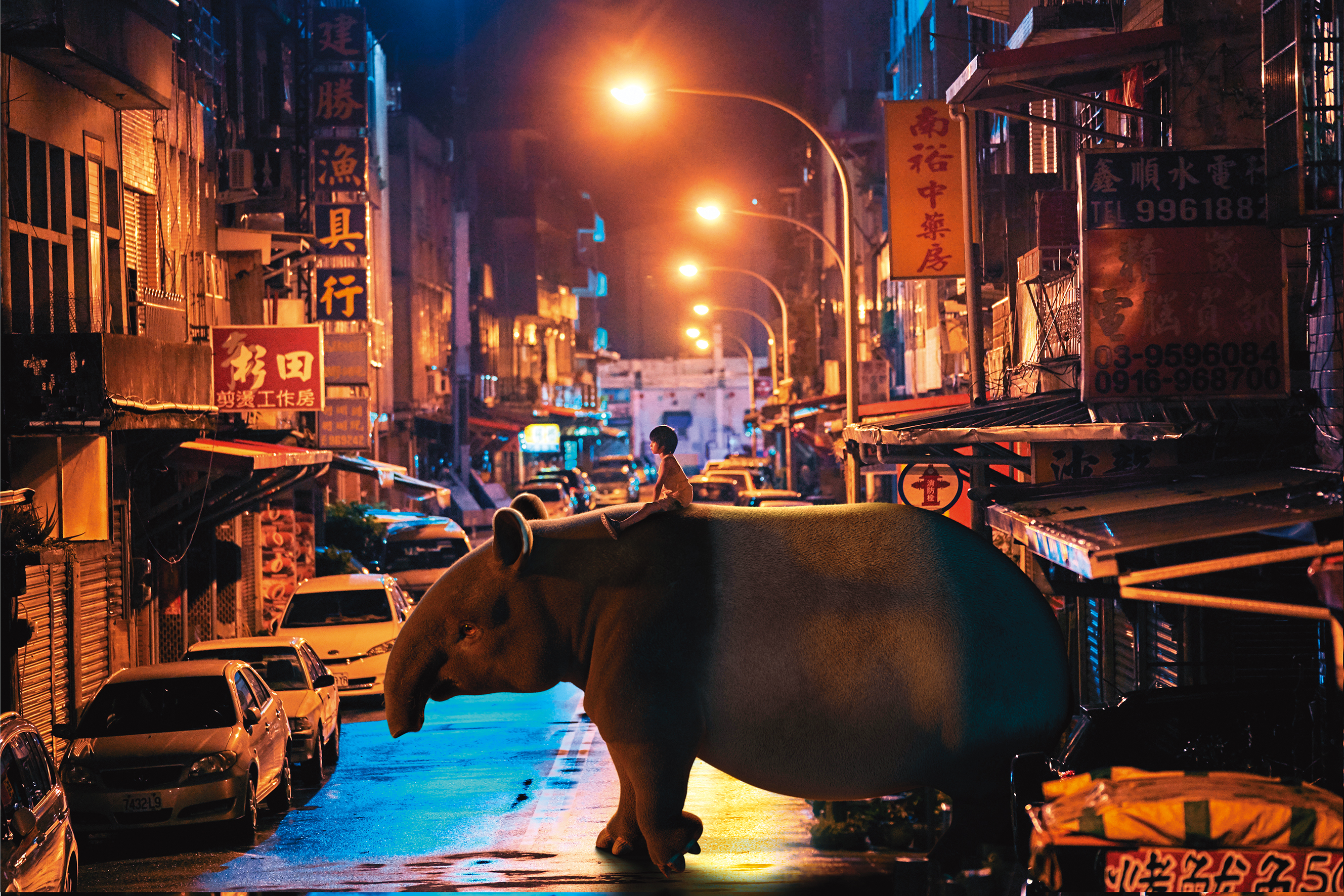 真人動畫電影《嗨！神獸》以奇幻手法探討孩童面對死亡的態度，故事溫暖療癒。（滿滿額娛樂提供）