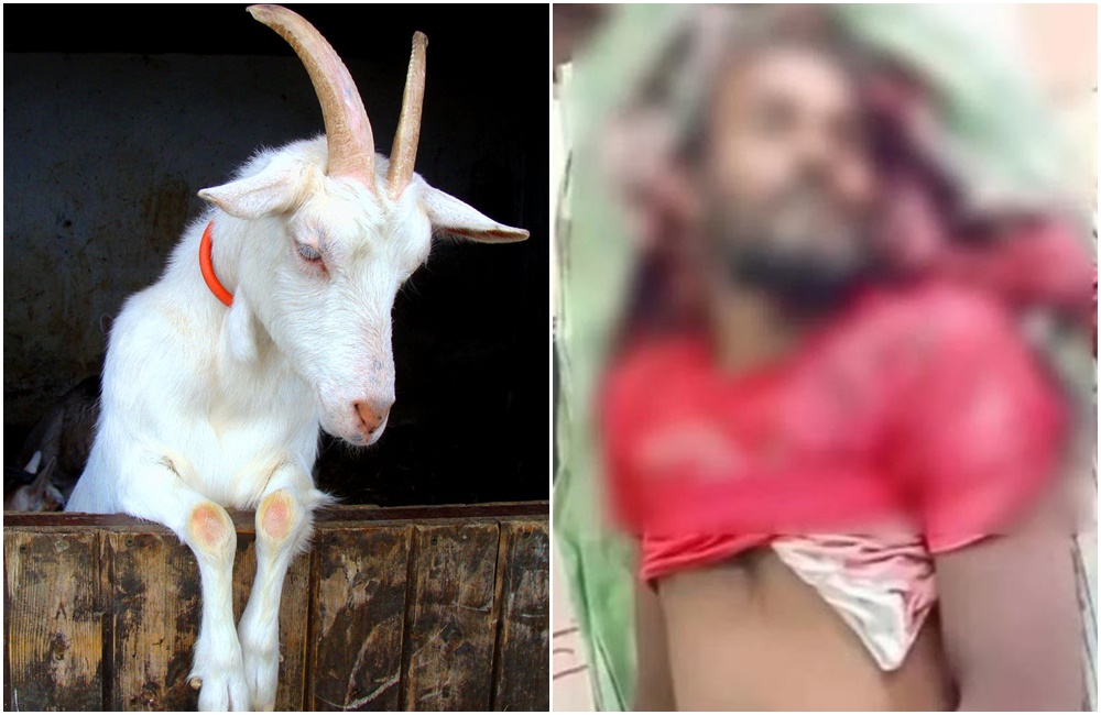 男子被祭司誤認成祭品山羊，竟被割喉慘死。（左／示意圖／翻攝自Pexel，右／翻攝自newsfeeds.media）