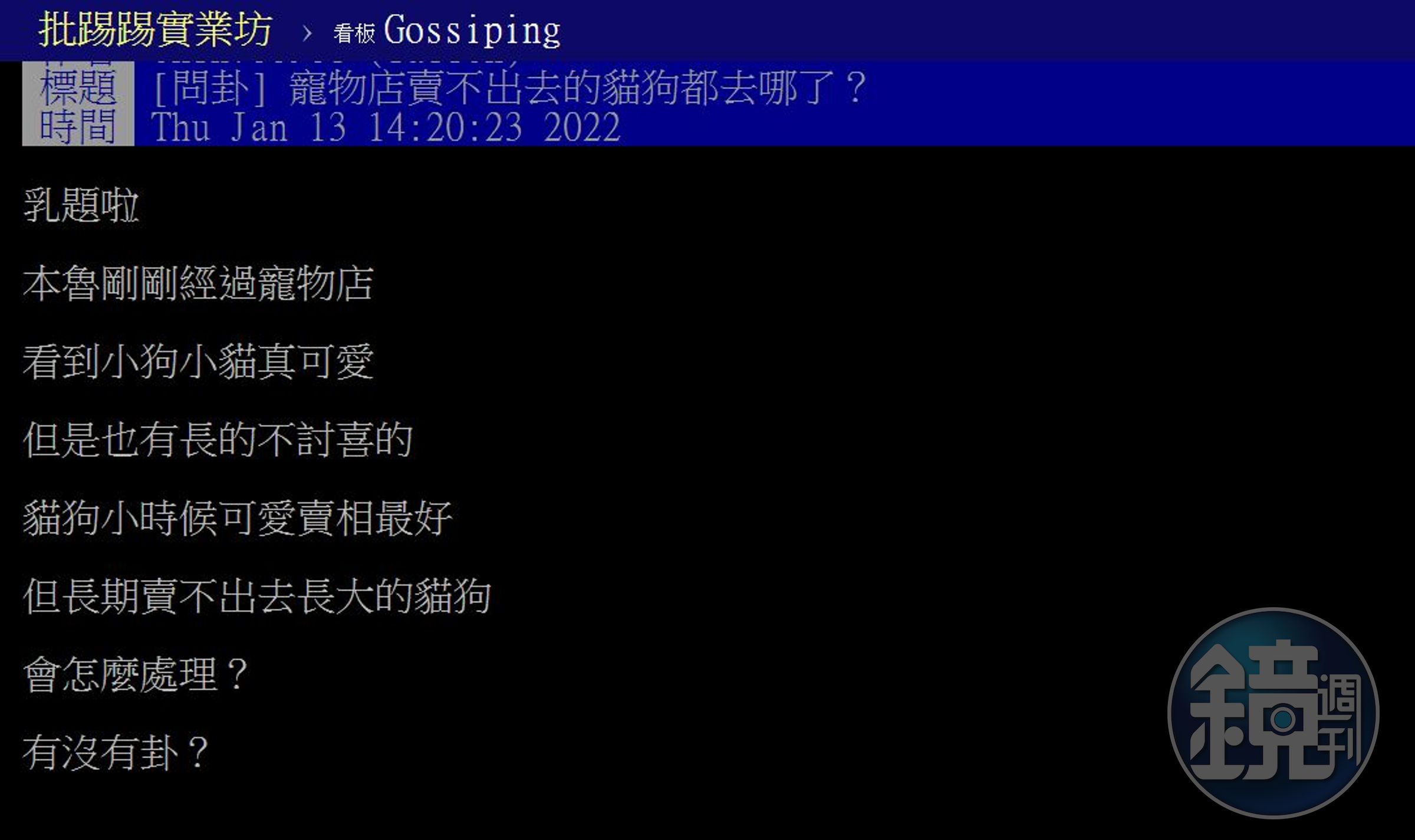 有網友在PTT八卦板問，寵物店賣不出去的貓狗都去哪了？（翻攝PTT八卦板）