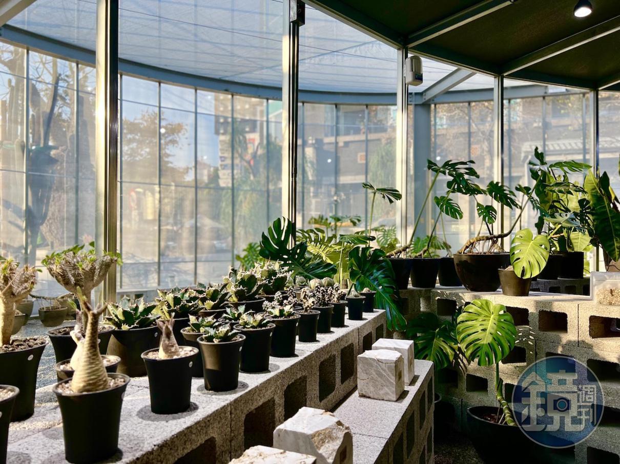 店內販售較適合都市室內的小植栽。