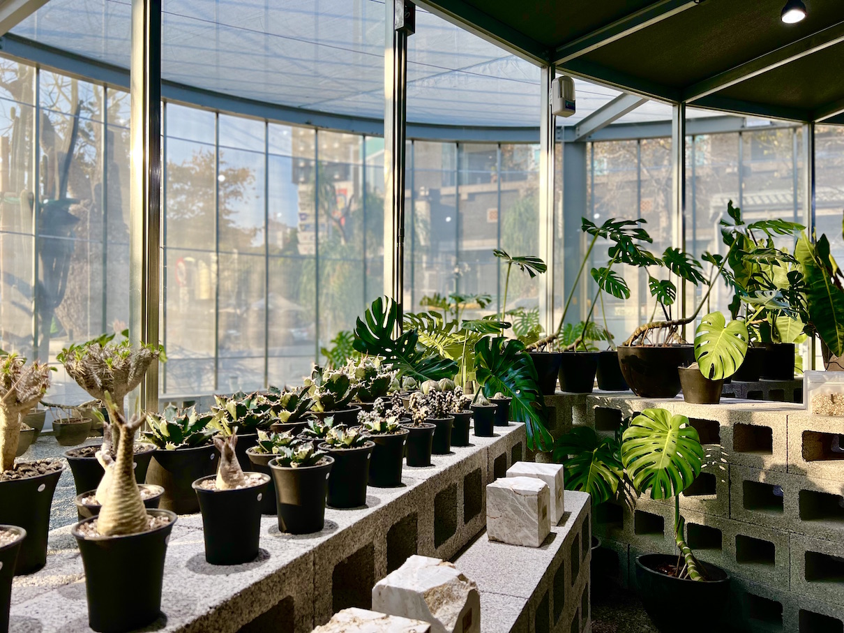 店內販售較適合都市室內的小植栽。