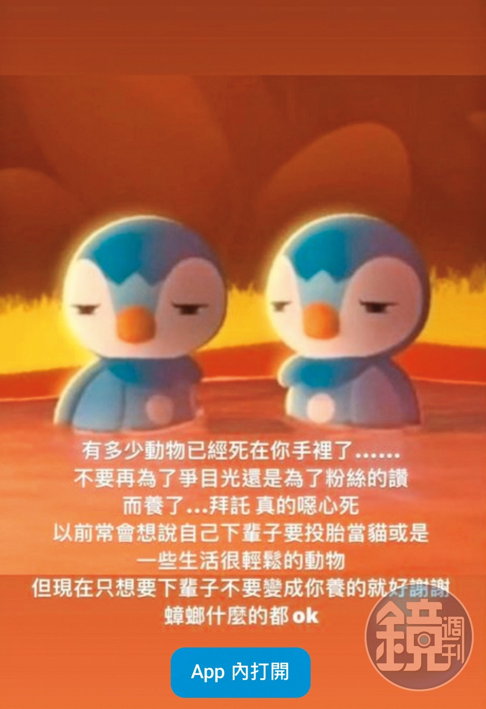 獨家】【炫耀毛孩出大包】被疑惡劣環境養狐狸范成章惹出動保爭議- 鏡週刊Mirror Media