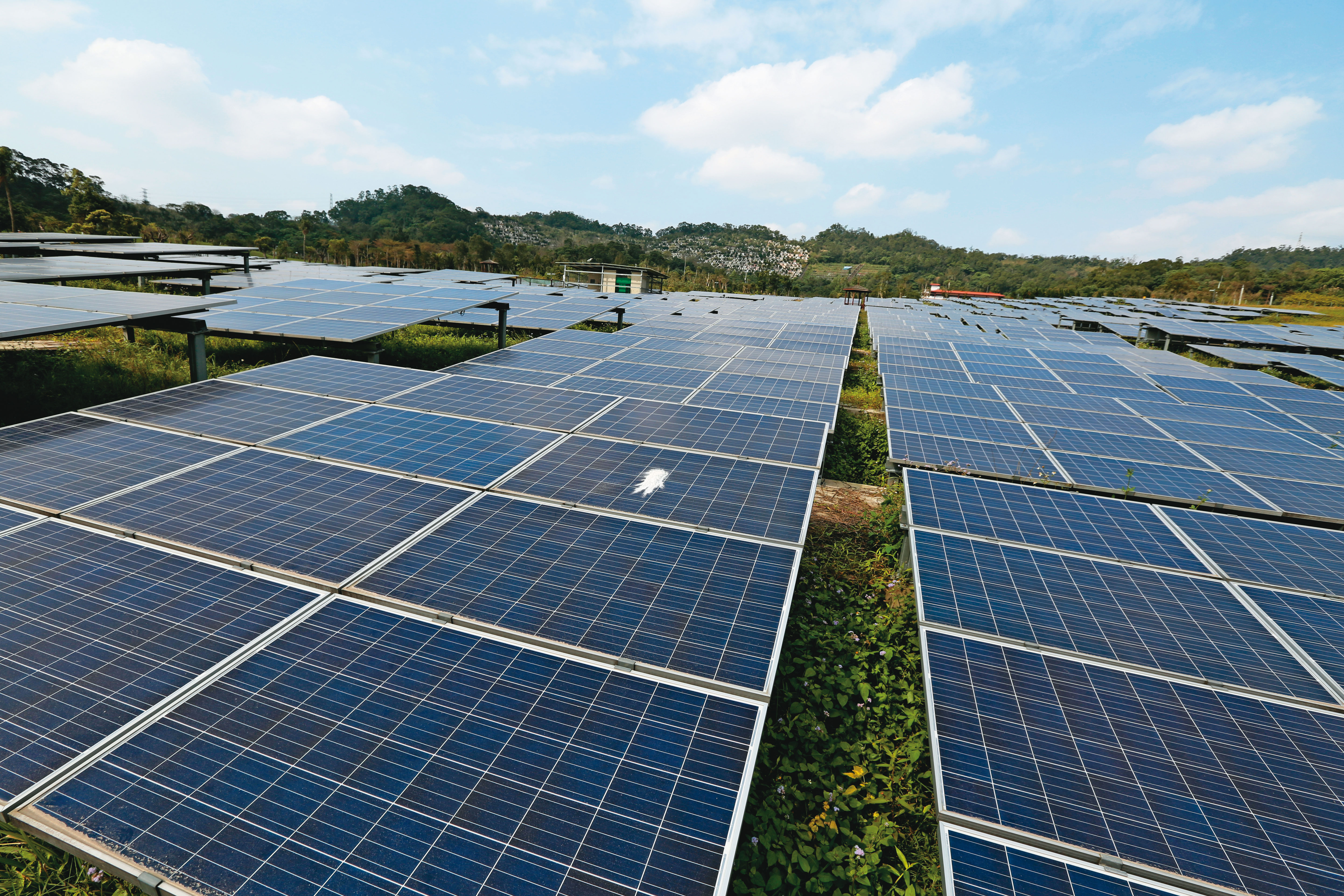 蔡英文政府主張發展再生能源，然而台電饋線建設遲緩，太陽能發電又遭遇環境保護與農業保護的重重阻礙。