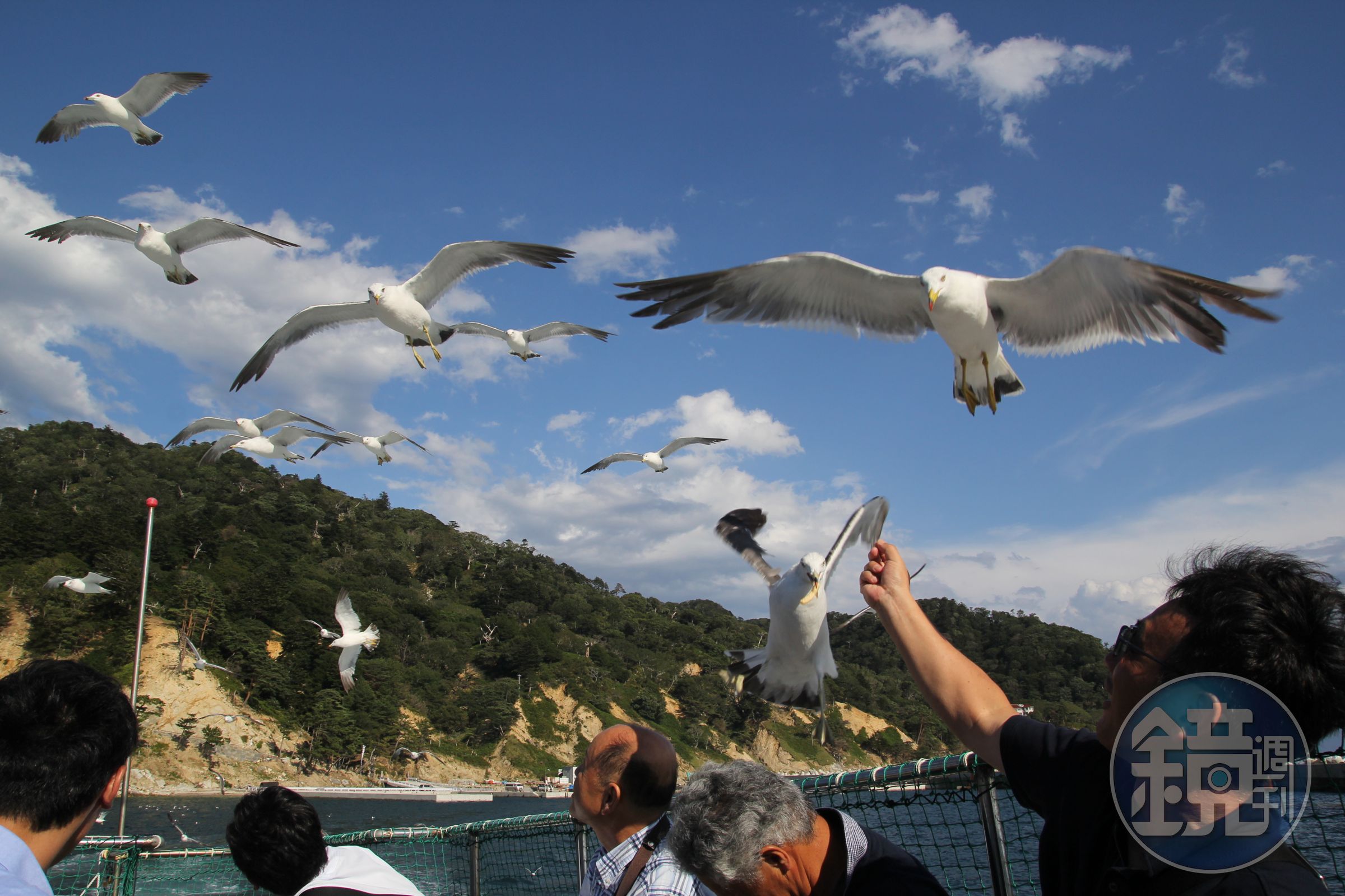金華山位於牡鹿半島外海，必須搭船前往。（Visit MIYAGI提供）