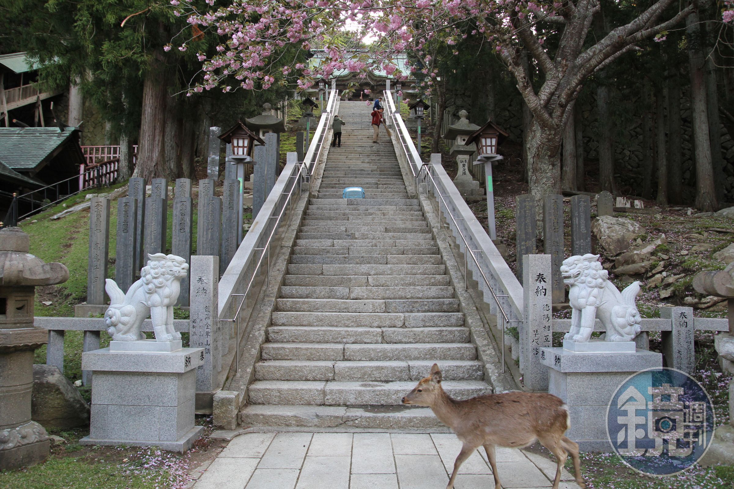 金華山黃金山神社是日本著名求財運的地點，是日本五大弁財天之一。（Visit MIYAGI提供）