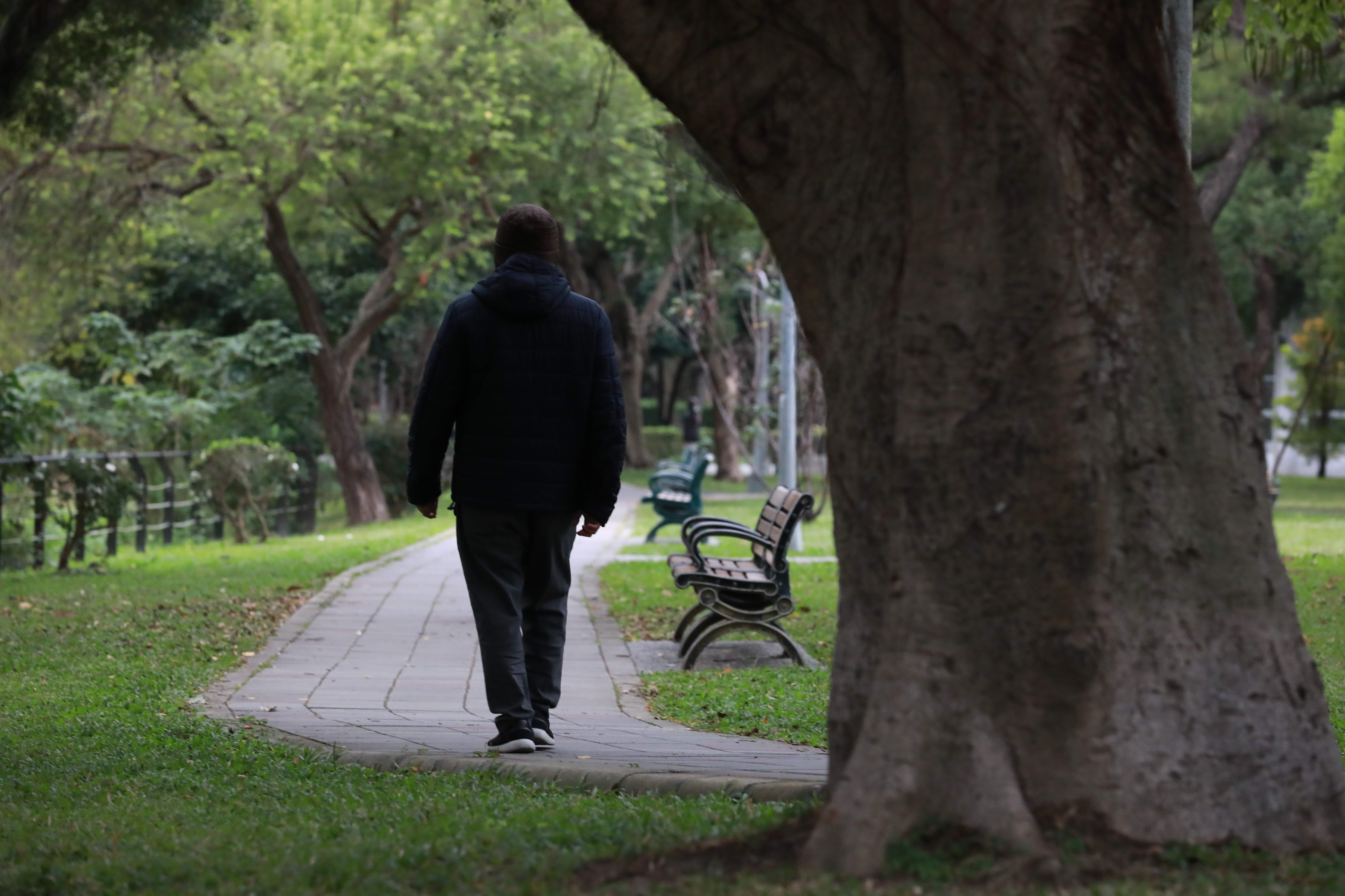 陳偉華說自己幾乎已沒有朋友，非常孤單。