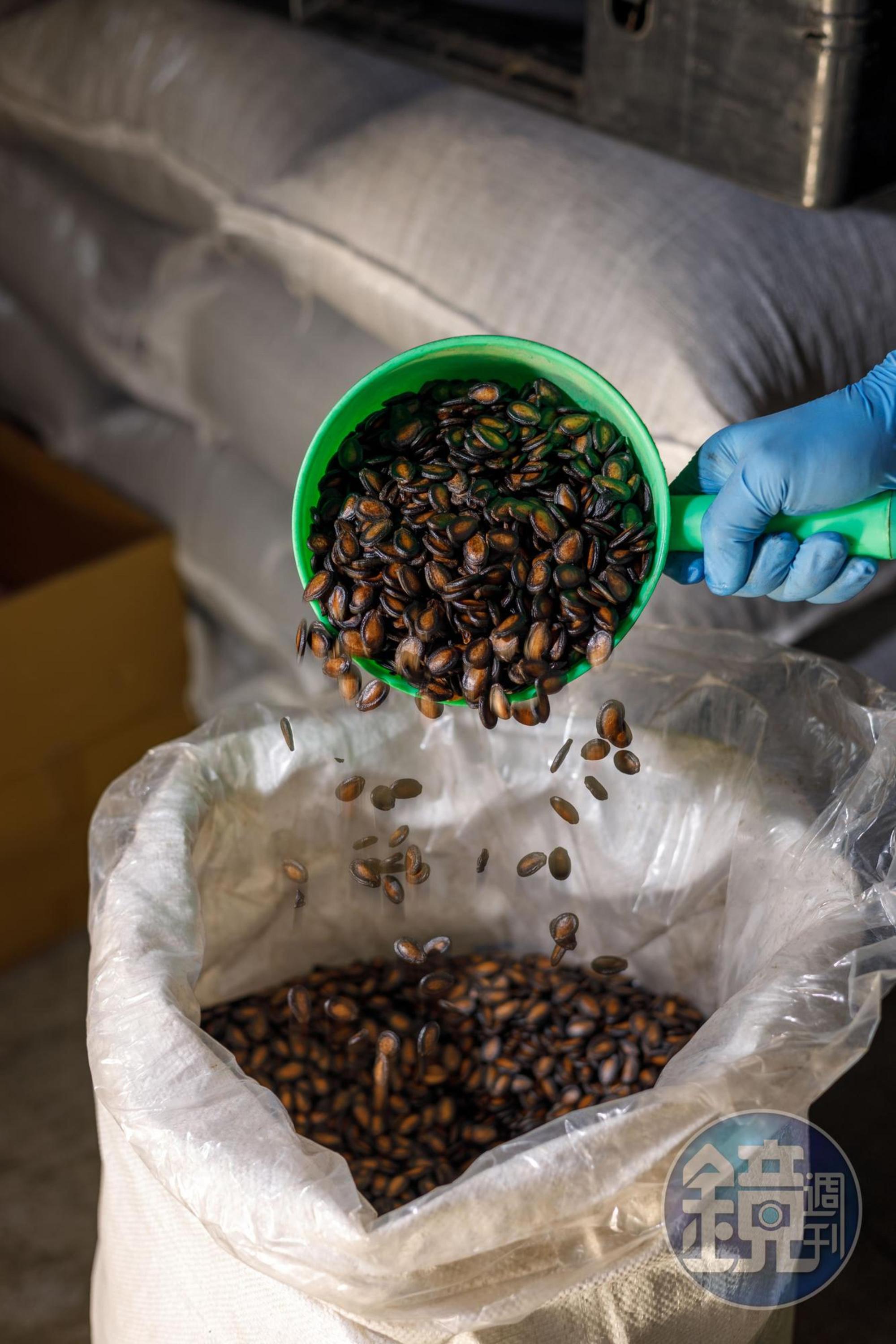 瓜子日曬後拌入大豆油桶翻轉，除了香氣，更使瓜子表面看起來油亮光滑。