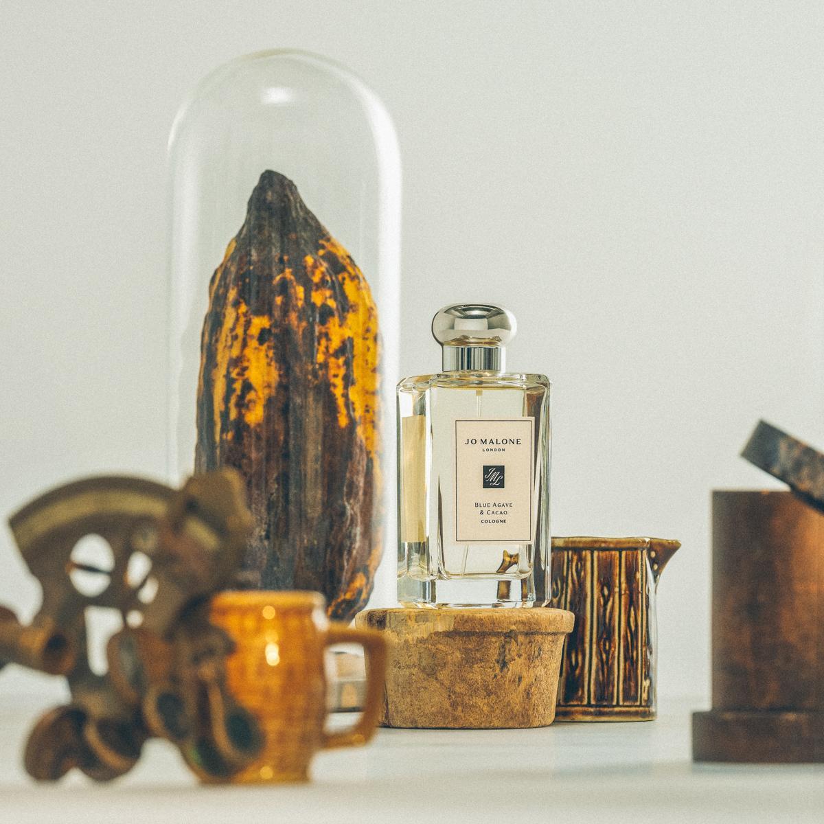 Jo Malone London 圖書館系列龍舌蘭與可可香水，讓人彷彿沉浸在拉丁音樂的動人節奏，100ml / NT$5,250。（Jo Malone London提供）