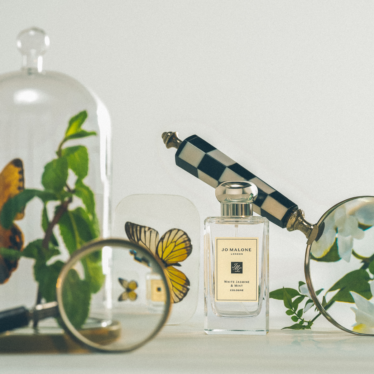 Jo Malone London圖書館系列的白茉莉與薄荷香水是2007年登場的限量款,100ml / NT$5,250。(Jo Malone London提供)