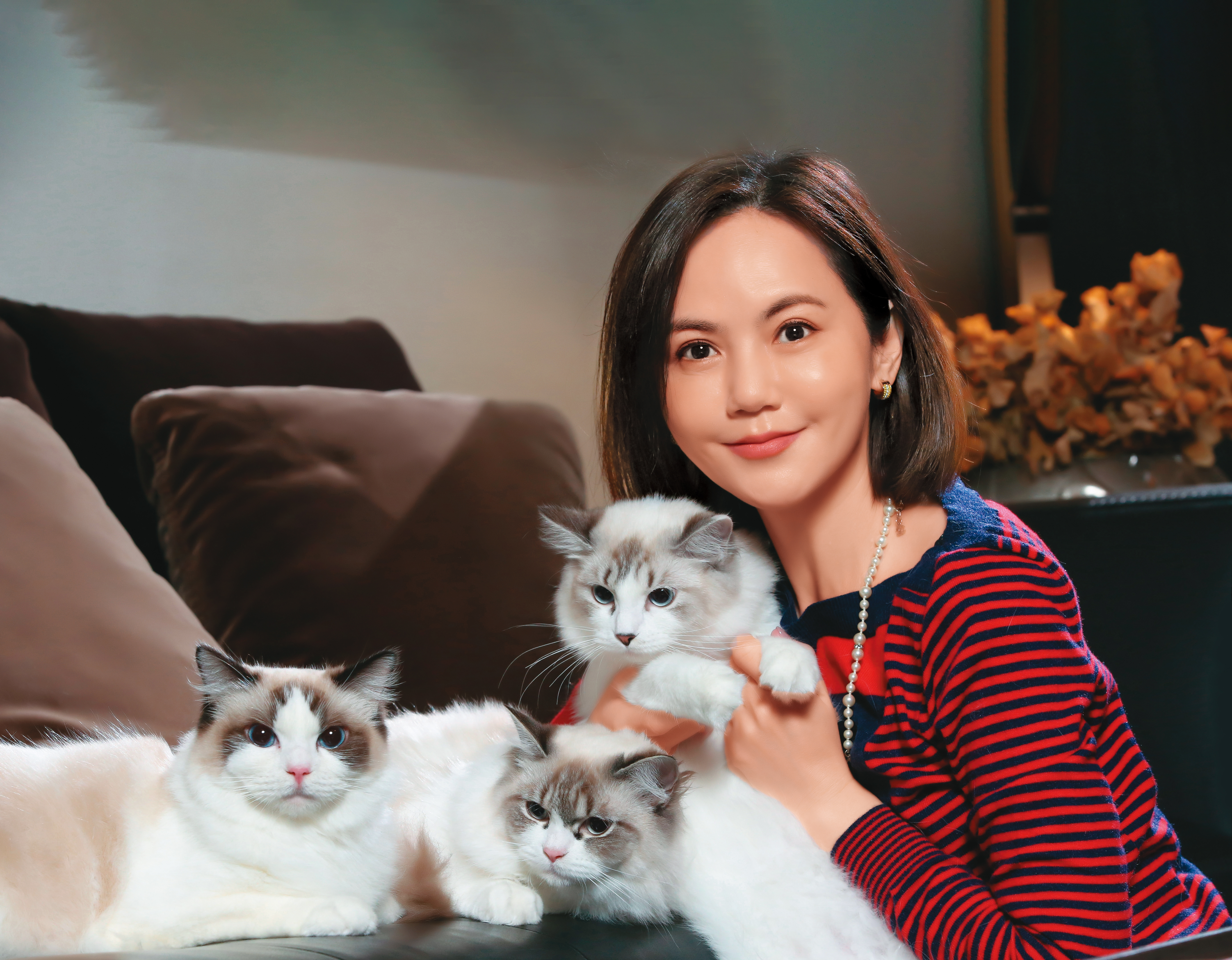 簡沛恩與家中3隻布偶貓一起迎虎年。