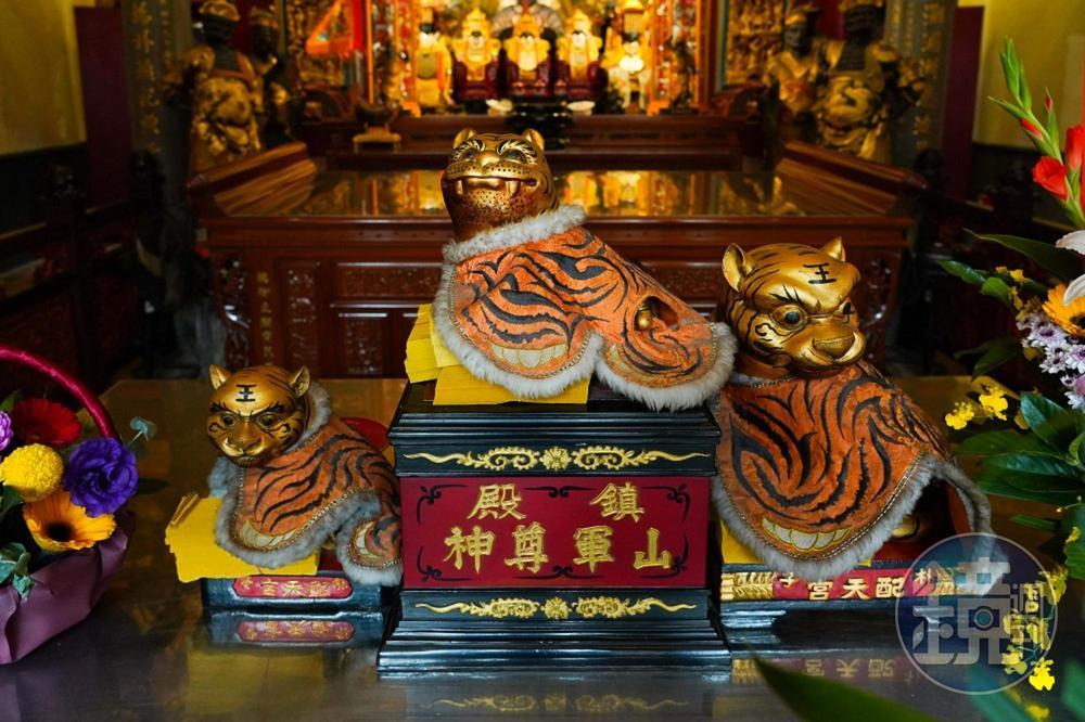 嘉義朴子配天宮裡的3尊虎爺公神情不同，各自看天、看地、看人。