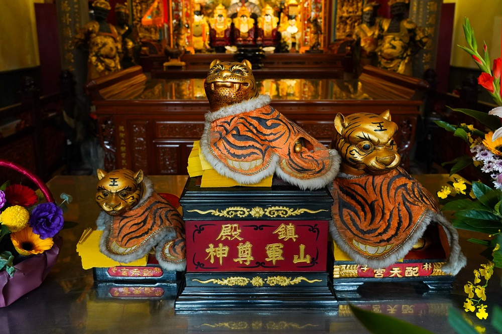 嘉義朴子配天宮裡的3尊虎爺公神情不同，各自看天、看地、看人。