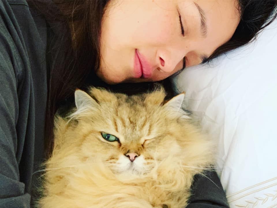 舒淇有過敏體質，但她仍舊對貓不離不棄。（翻攝舒淇臉書）