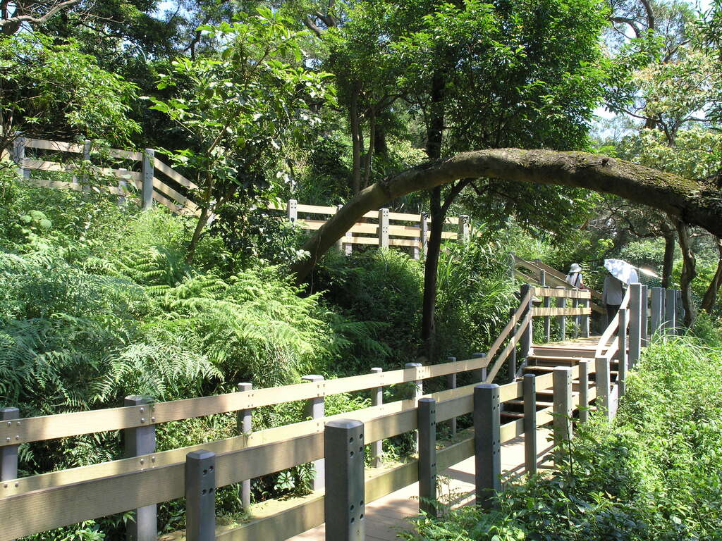 虎山為四獸山市民森林區內之淺山之一。（翻攝自台北旅遊網）