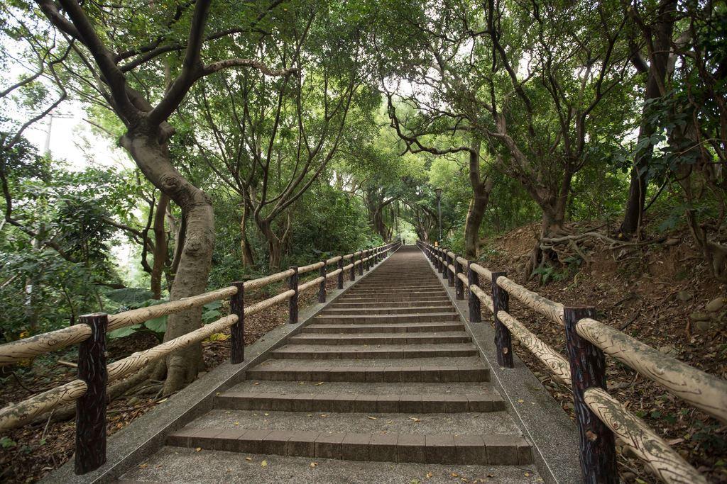 桃園虎頭山公園內規劃有多條步道系統。(翻攝自桃園觀光導覽網)
