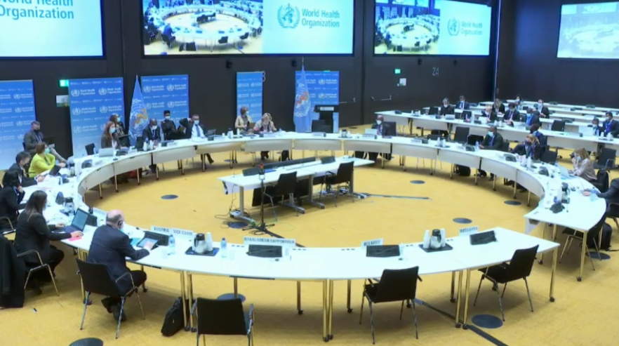 友邦在WHO執委會發言挺台，卻先後出現被漏譯的情況。（翻攝自WHO官網）