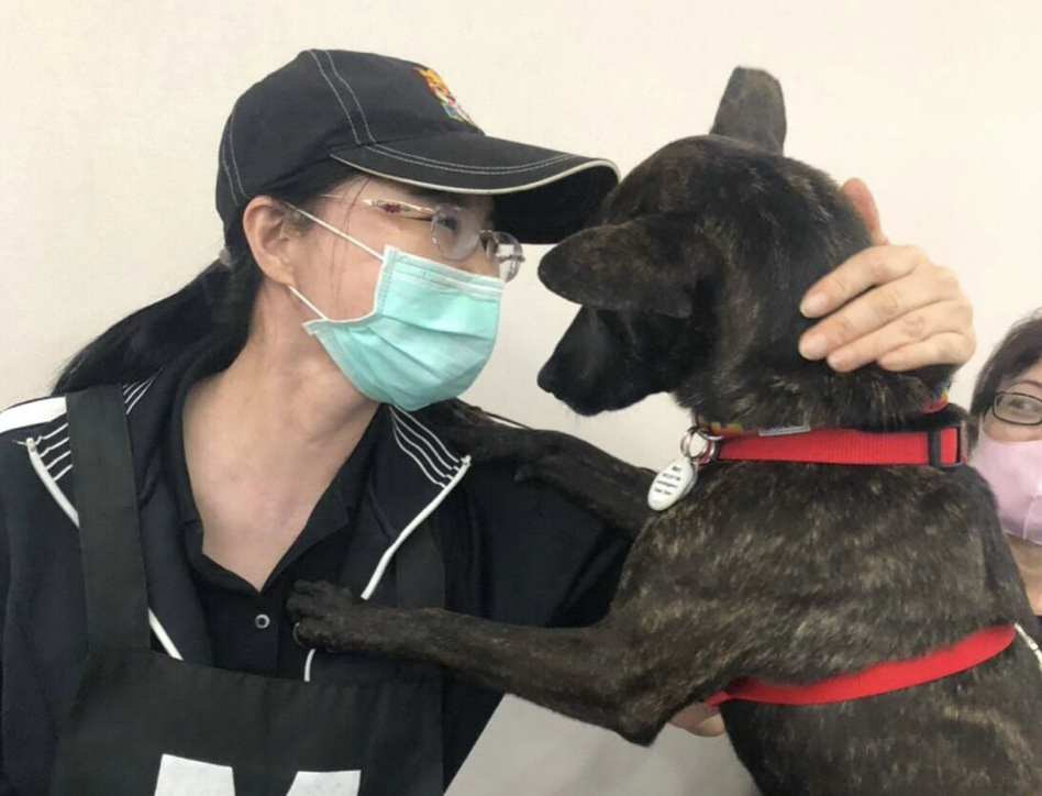 桃園人都知道，李是出了名的愛管事，從一般民眾到流浪狗，都是她關心的對象。（讀者提供）