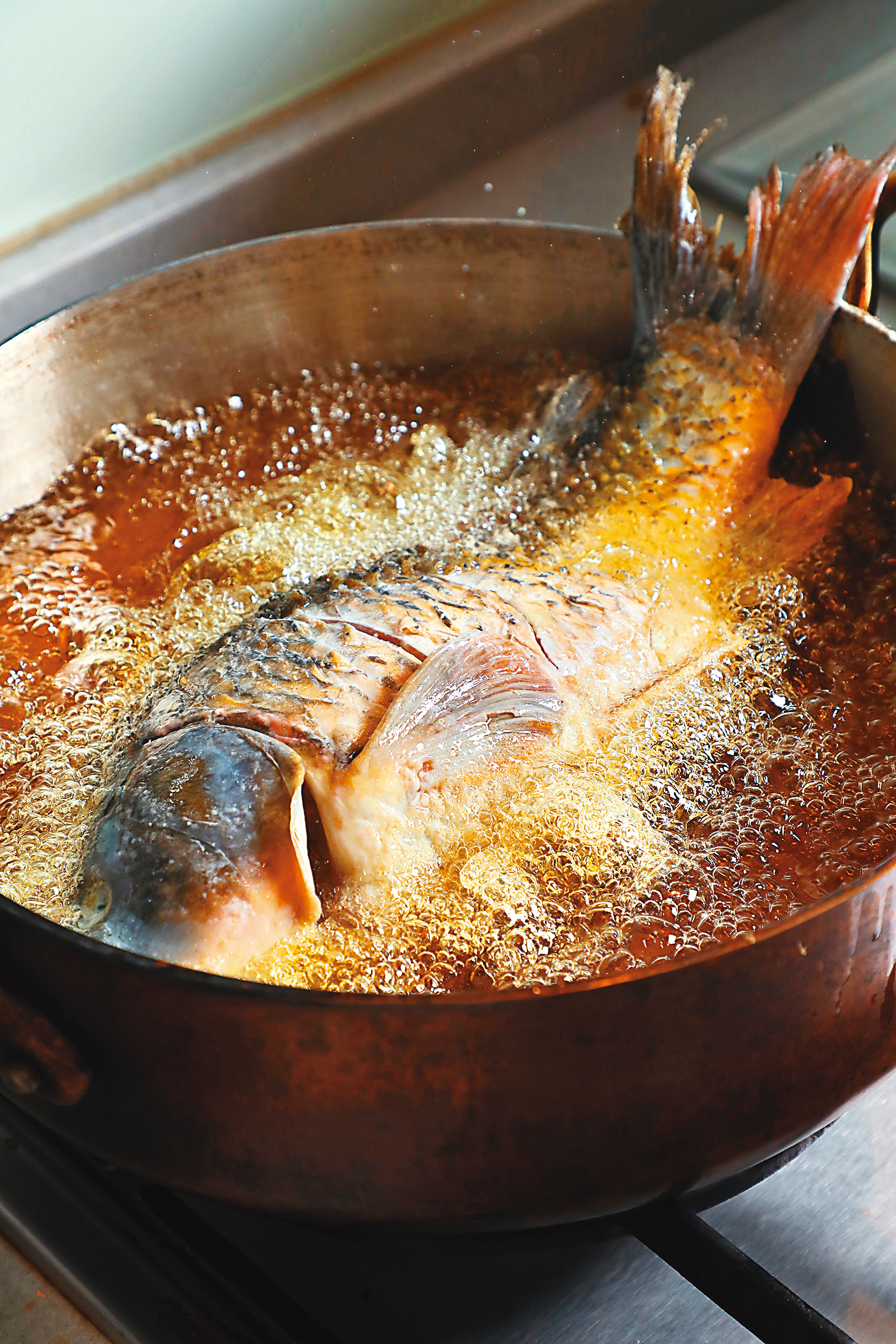 鯉魚入油鍋炸至金黃。