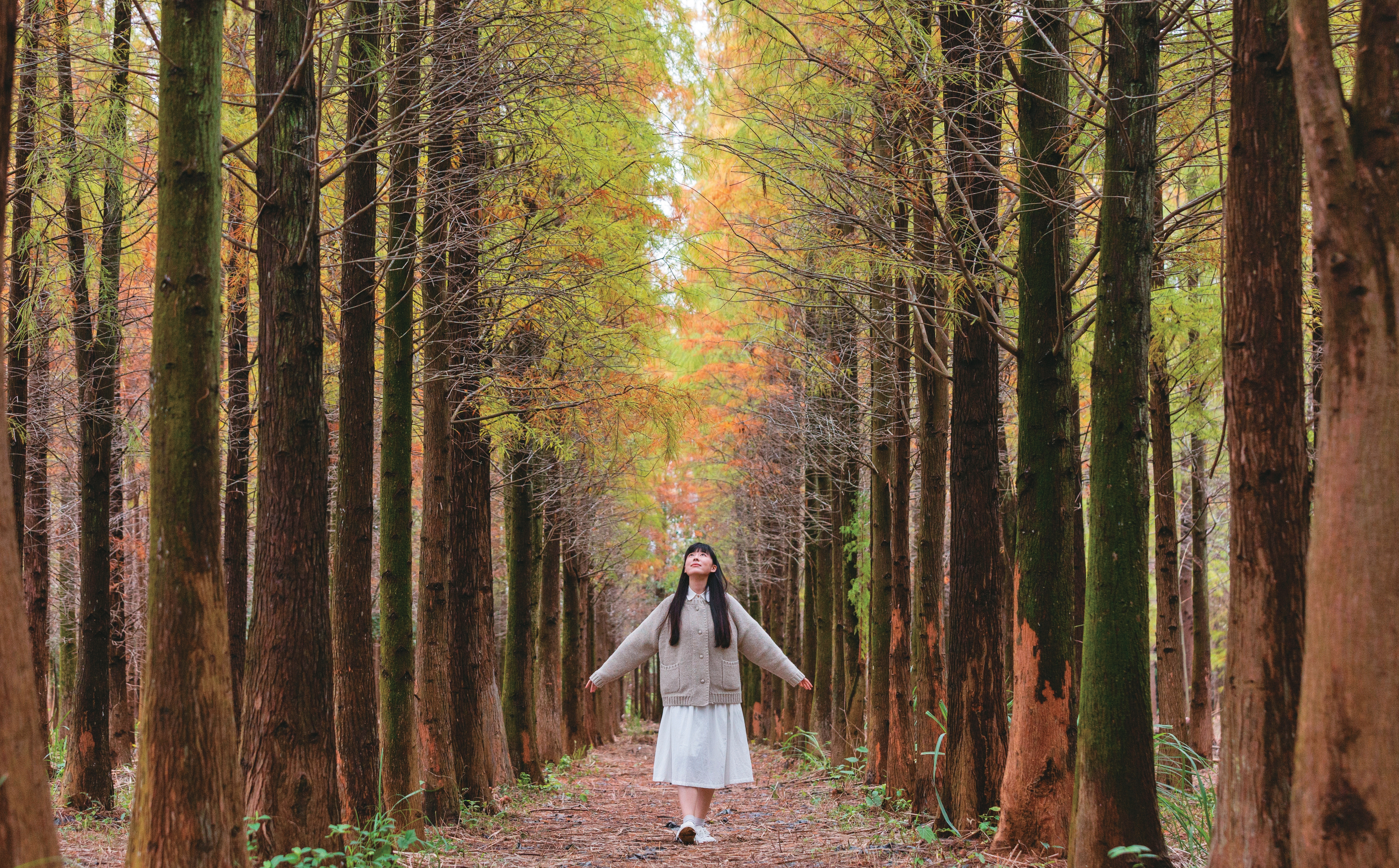 感受落羽松的美好景致，享受舒暢空間的當下，也需共同保持環境整潔。