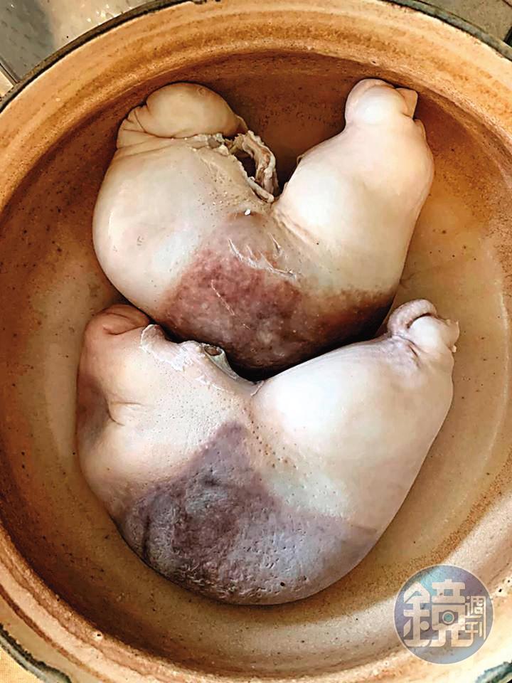 豬肚汆燙後會縮到只有巴掌大。