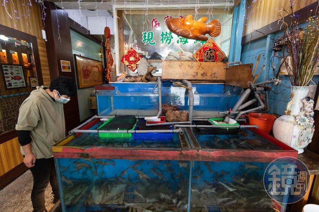 一入店內，可以看到裝滿蝦的水族缸。