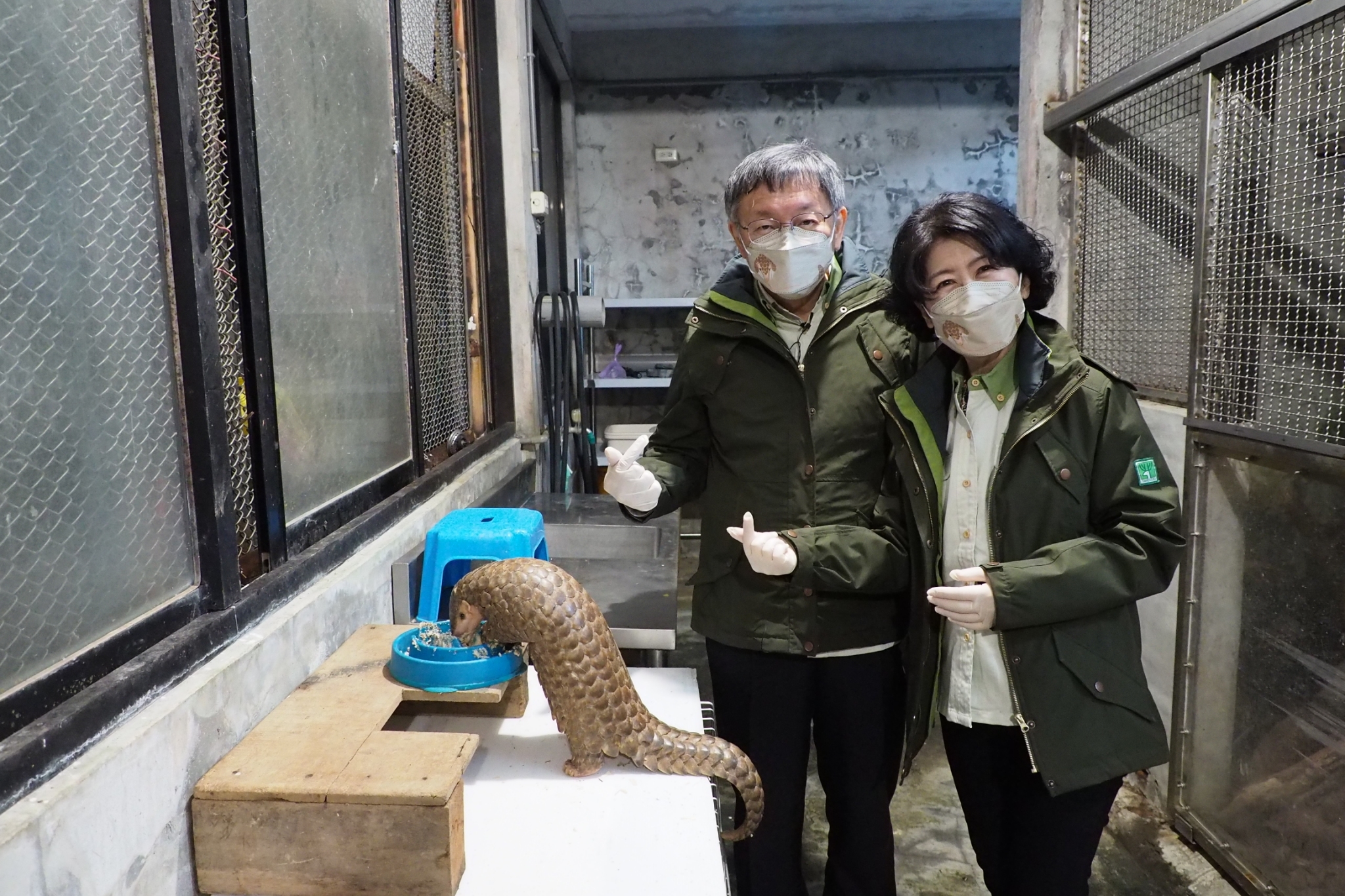 穿山甲「果寶」跟「潤喉糖」將於3月遠赴布拉格進行「外交工作」，台北市長柯文哲與太太陳佩琪也在農曆年前夕，親自下廚為他們加菜。（翻攝自柯文哲臉書）