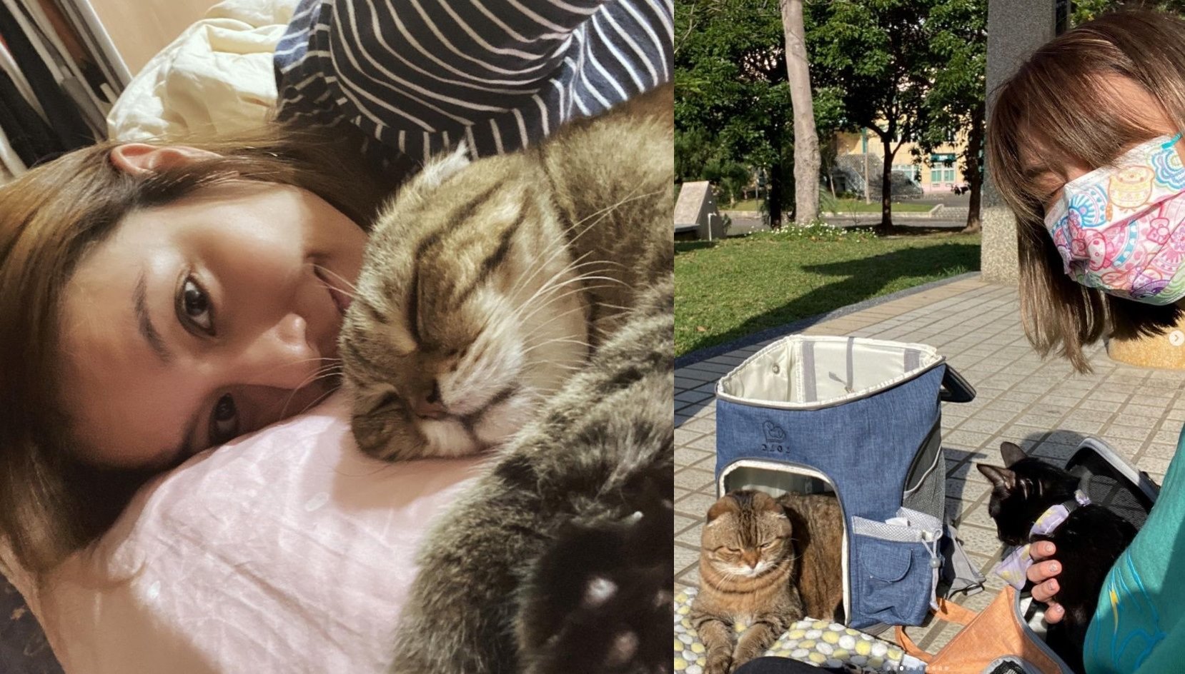 莎莎跟愛貓阿虎告別，並說改天天堂見。（翻攝自莎莎IG）