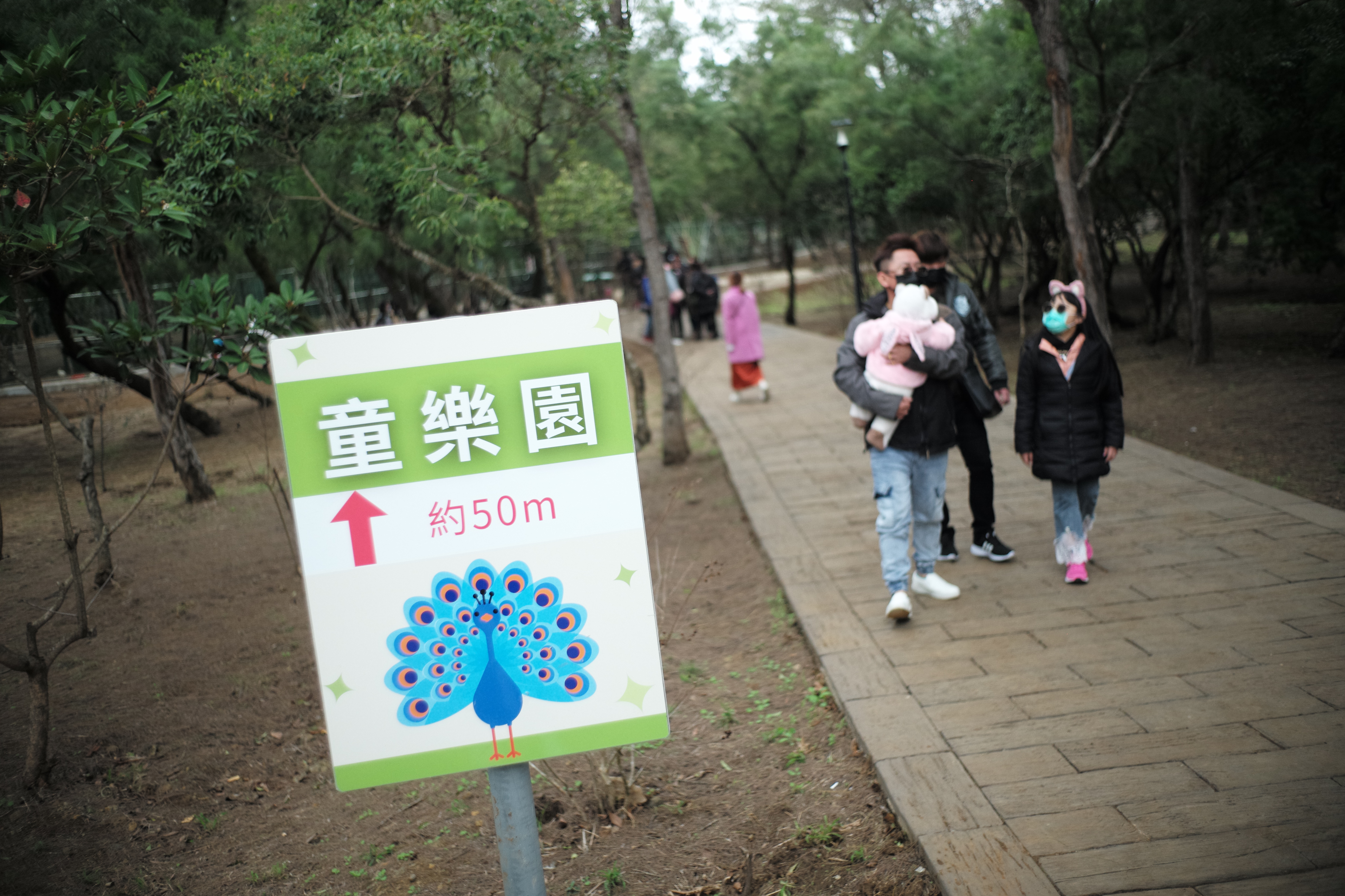 藍孔雀被選為園區內的看板動物。