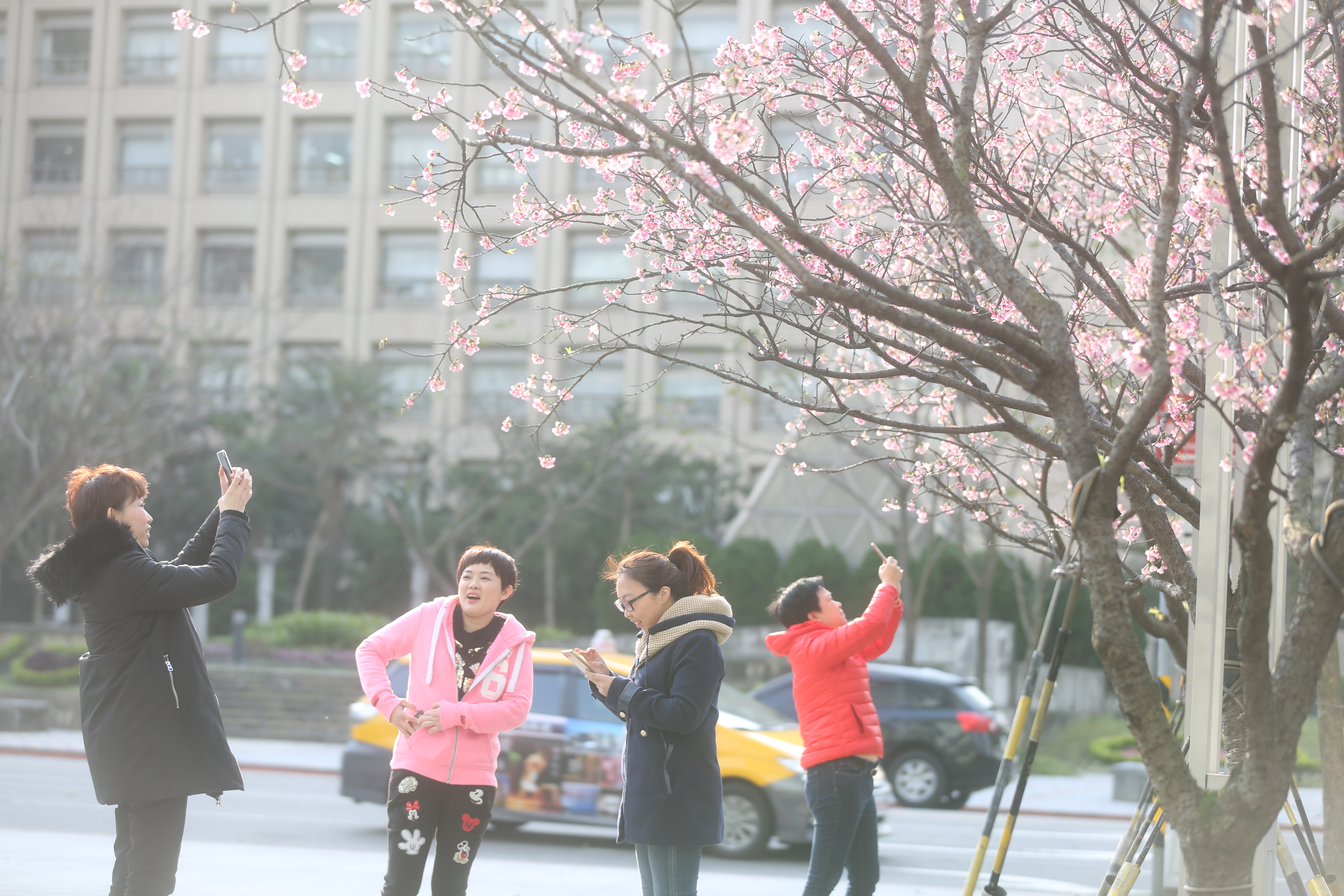 這幾天都是好天氣，週日晚間將開始變天。（本刊資料照）