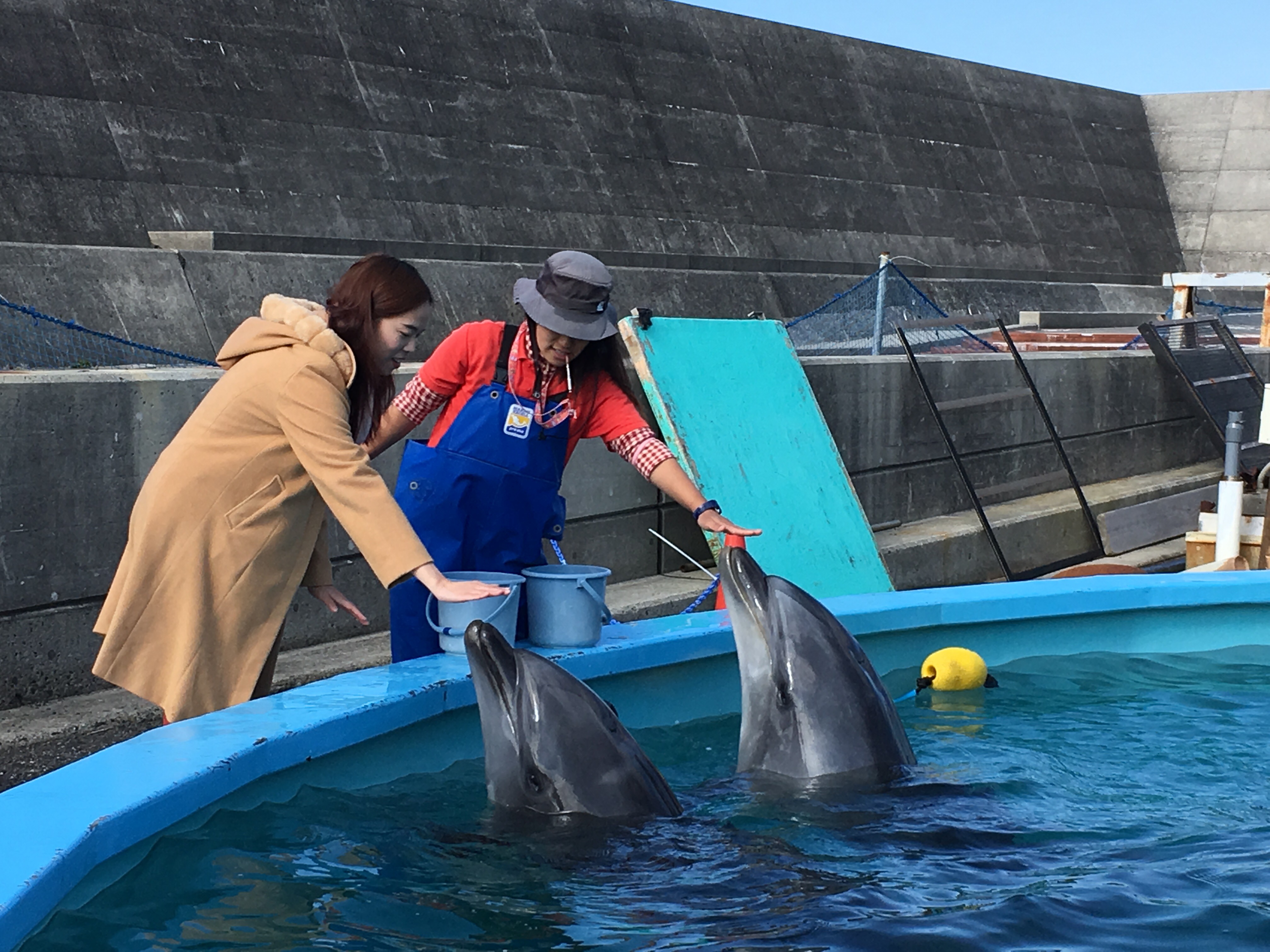 「室戶海豚中心」旨在讓孩子體驗與海豚互動的樂趣。（高知縣國際觀光課提供）