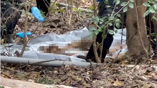 有民眾在高雄金獅湖後山發現一副人類骨骸，經查死者是一名意圖輕生、失蹤的陳姓男子。（翻攝畫面）