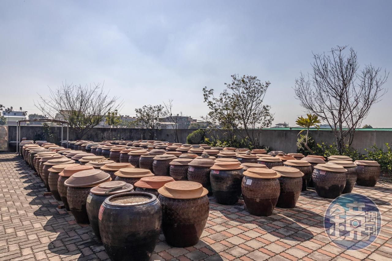 在60年的老醬油廠御鼎興的自家後院裡，有上百個醬油甕正接受日光曝曬。