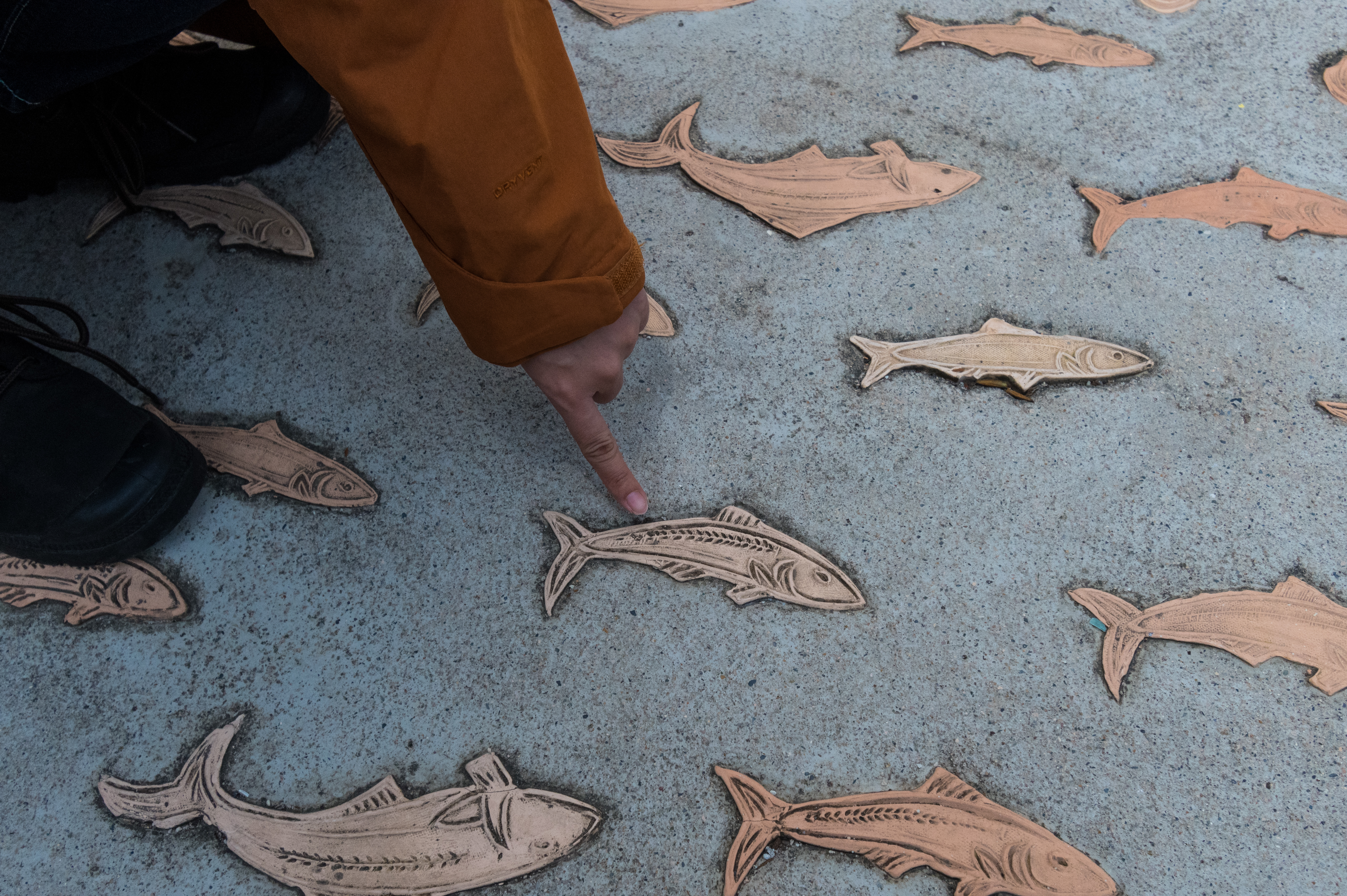 小漁村地上的陶魚片磚指引著旅人。