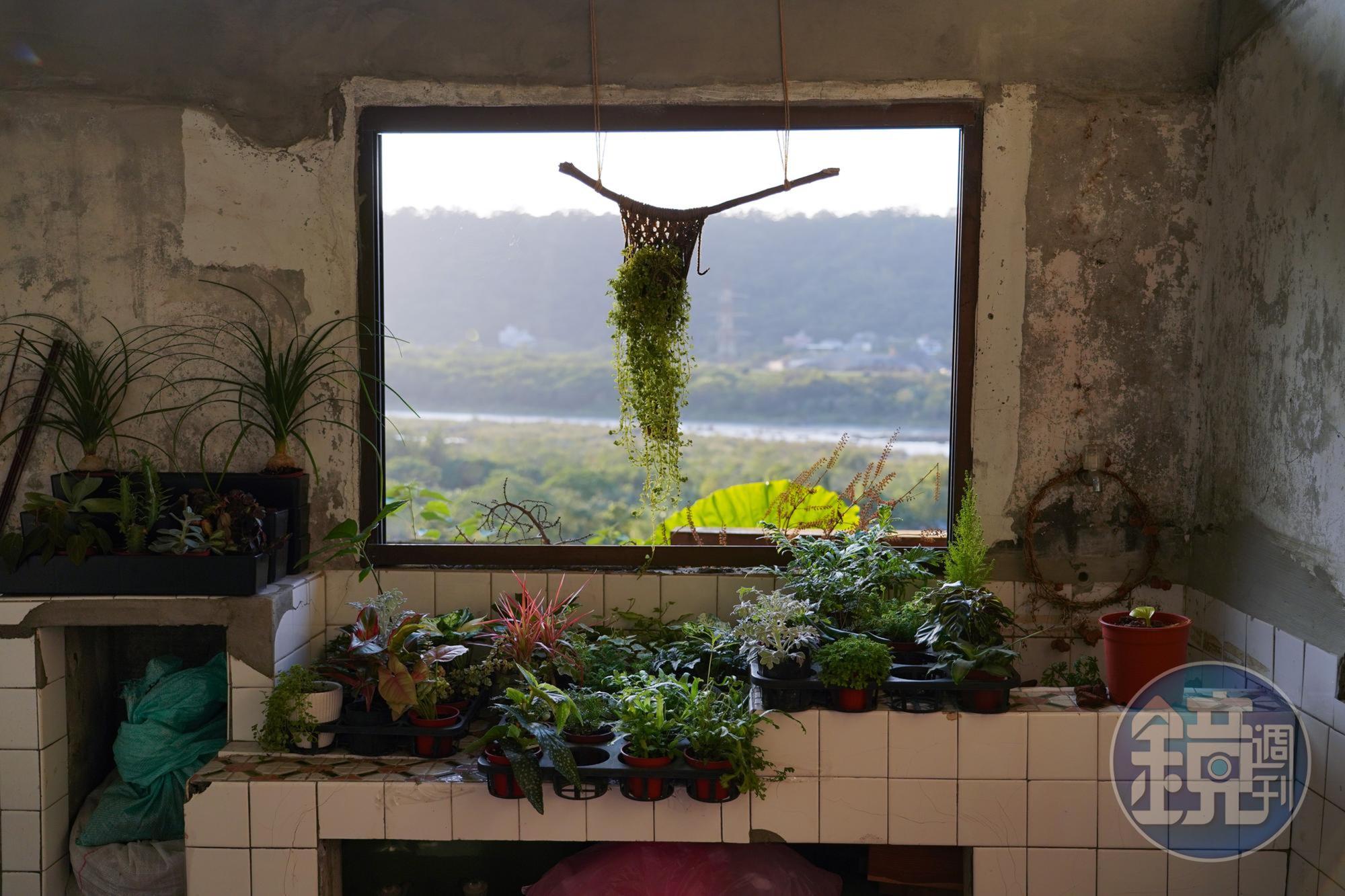 老舊建築經美化後，成了新的風景。