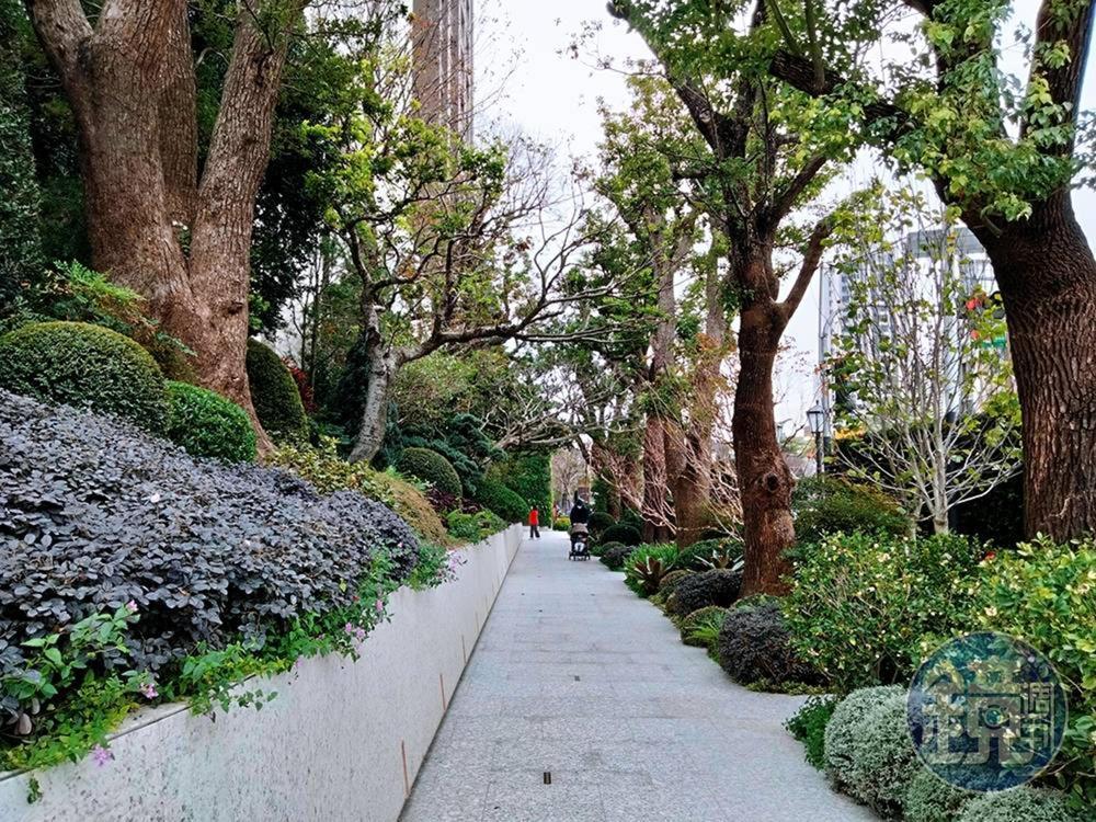 社區外人行道植栽具有層次感,如同綠色隧道。