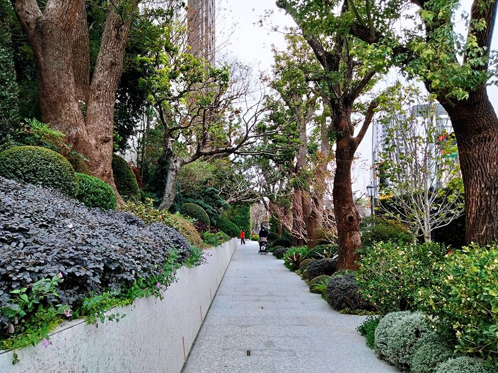 社區外人行道植栽具有層次感，如同綠色隧道。
