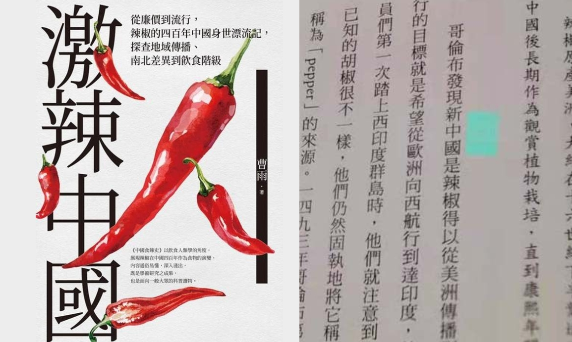 《激辣中國》作者曹雨指出,書中內文的「大陸」都被機械式替換成「中國」。(翻攝自麥田/曹雨臉書)