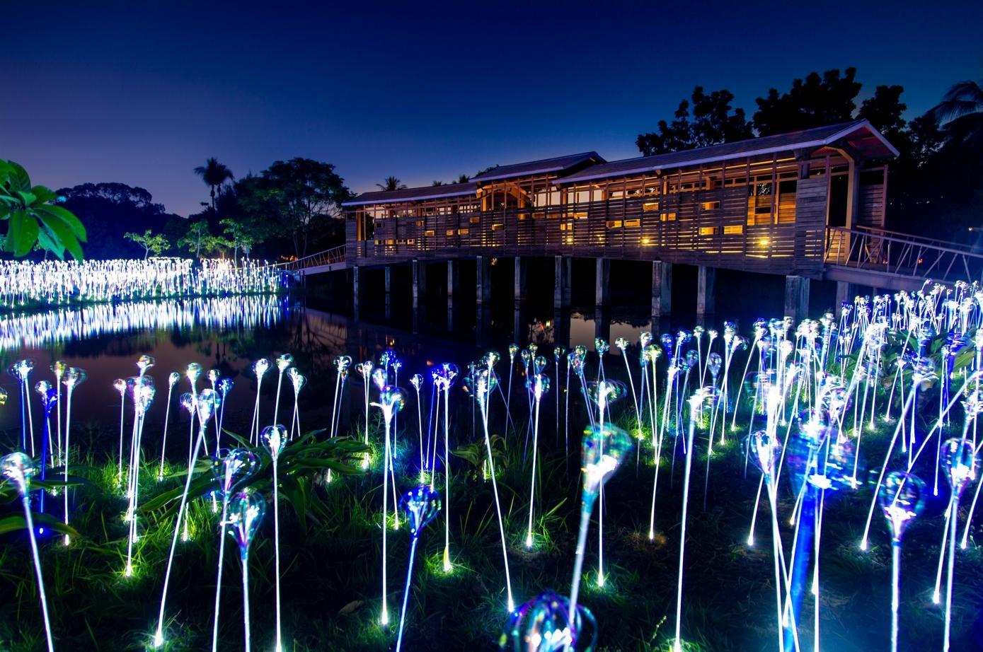 《植光・花 Lighting Flowers》─蔡宜婷