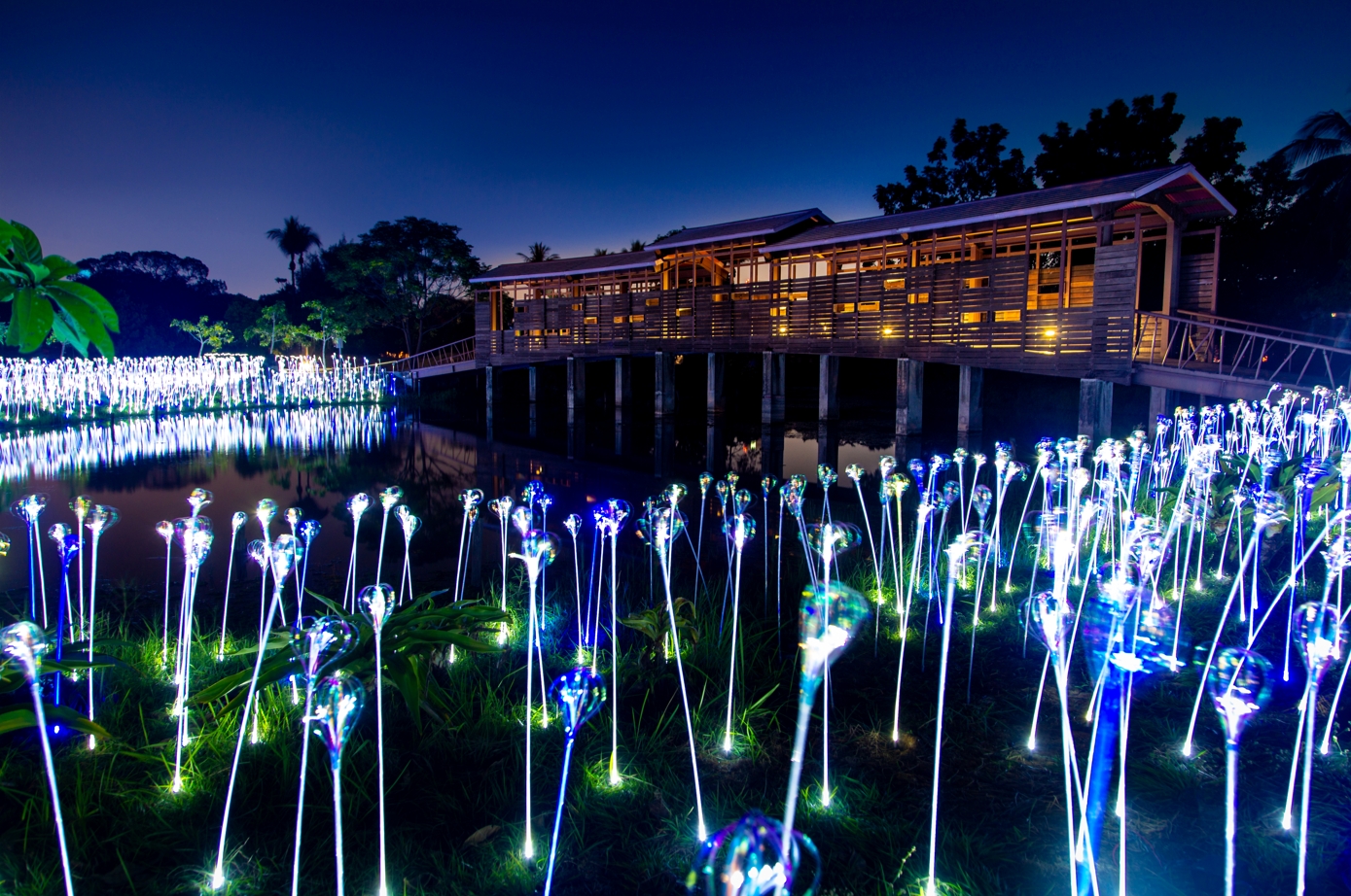 《植光・花 Lighting Flowers》─蔡宜婷
