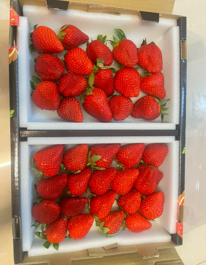 一名網友分享自己在好市多買草莓想退貨的經驗，引發萬名網友迴響。（翻攝自臉書）